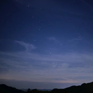 6488成人色情网站
