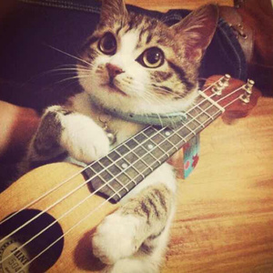 6488成人色情网站
