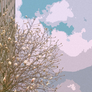 6488成人色情网站
